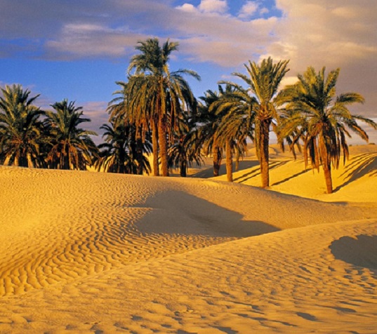 Tunisia