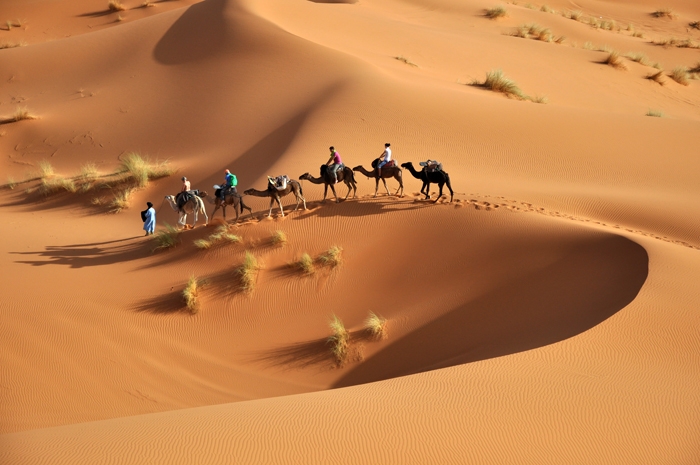 Tour Tunisia Stellare: Storia, Oasi e Galassie
